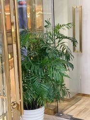 -CICI纤美·科技减肥美容