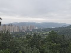 -罗三妹山
