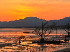 -渔享海尚鲜酒楼(广海渔人码头店)