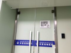 -申普宠物医院·心脏介入·心血管微创(总院)