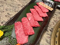 -老乾杯(深圳湾万象城店)