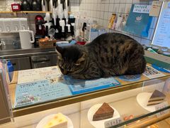 -猫的天空之城概念书店(苏州平江店)