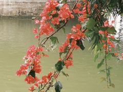 -水乡人家私房菜(逢简店)