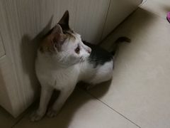 -深圳市人民医院(留医部)