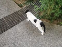 -巴依老爷新疆美食(魏公村店)