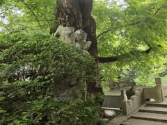 -汇龙潭
