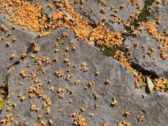 -宁波市保国寺古建筑博物馆
