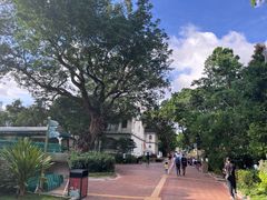 -九龙公园