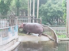 -南宁市动物园