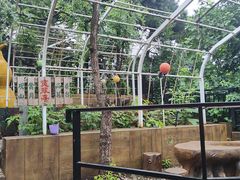 -丽泽山庄·生态怀柔菜·虹鳟鱼(红螺寺店)