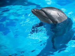 游乐设施-波塞冬旅游度假区