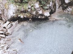 -安吉龙王山峡谷漂流