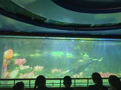 -大明湖海底世界