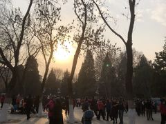 -古城公园