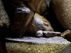 -浮盖山峡谷漂流