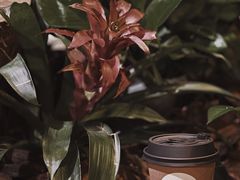 -1/4 ONE QUARTER COFFEE LAB(朝阳大悦城店)