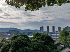 -广州神农草堂中医药博物馆