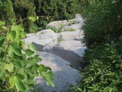 -原山国家森林公园