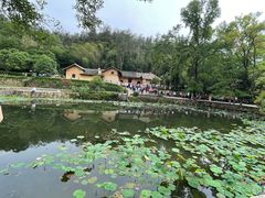 -韶山毛泽东同志故居
