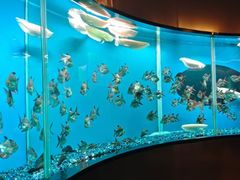 -碧涛阁水世界酒店(万家丽路店)