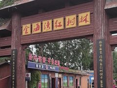 -北海金海湾红树林生态旅游区