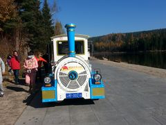 景点-五营红松林海景区