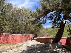 -潭柘寺景区