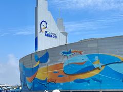 -海合安青岛极地海洋公园