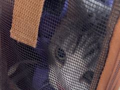 -艾贝尔宠物医院·24H转诊中心·肿瘤猫专科(江宁双龙店)