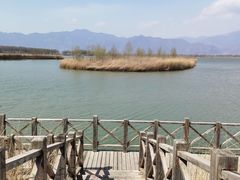 -野鸭湖国家湿地公园