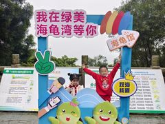 -广东惠东海龟国家级自然保护区