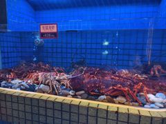 -金悦轩海鲜酒家(拱北店)