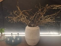 -禾美科技美肤·芳香疗愈SPA联合会所