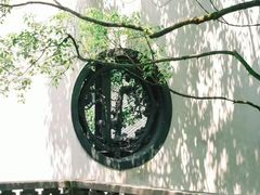 -宋宴(虎跑店)