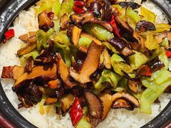 -蘑界·野生菌火锅(深业上城店)