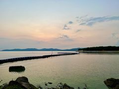 -上海市保健医疗中心