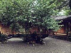 -乐领拈花溪·林涧食韵