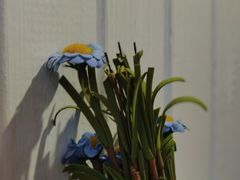 -长颈鹿咖啡(大学路店)