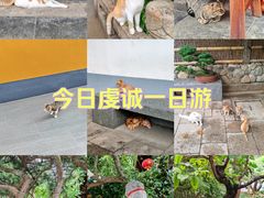 -龙华寺