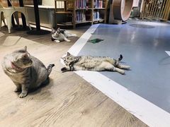 -小时光咖啡馆(开森度假森林店)