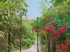 -小仙居·农家宴烤羊· 农庄
