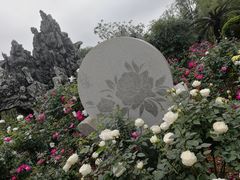 -人民公园(罗湖区)