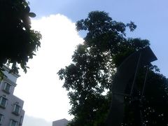 风景如画-1128港式茶餐厅(嘉信广场店)