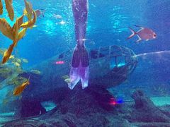 -福州罗源湾海洋世界旅游区