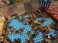 -半岛听涛蒸汽海鲜自助(K11店)