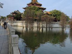-顺峰山公园