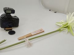 -柒闲月摄影工作室