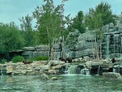 -北京野生动物园