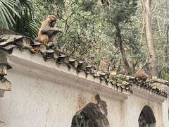 -黔灵山公园-南门售票处