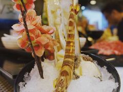 -鲜入围煮花胶鸡海鲜火锅